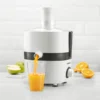 Primus Juicer III is a powerful and efficient juice - Image 6